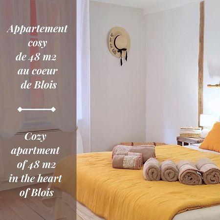 Blois City - Le Petit Louis XII Екстер'єр фото