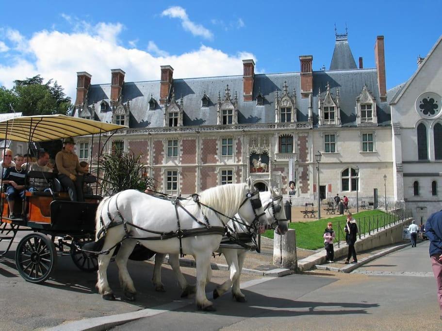 Blois City - Le Petit Louis XII Екстер'єр фото